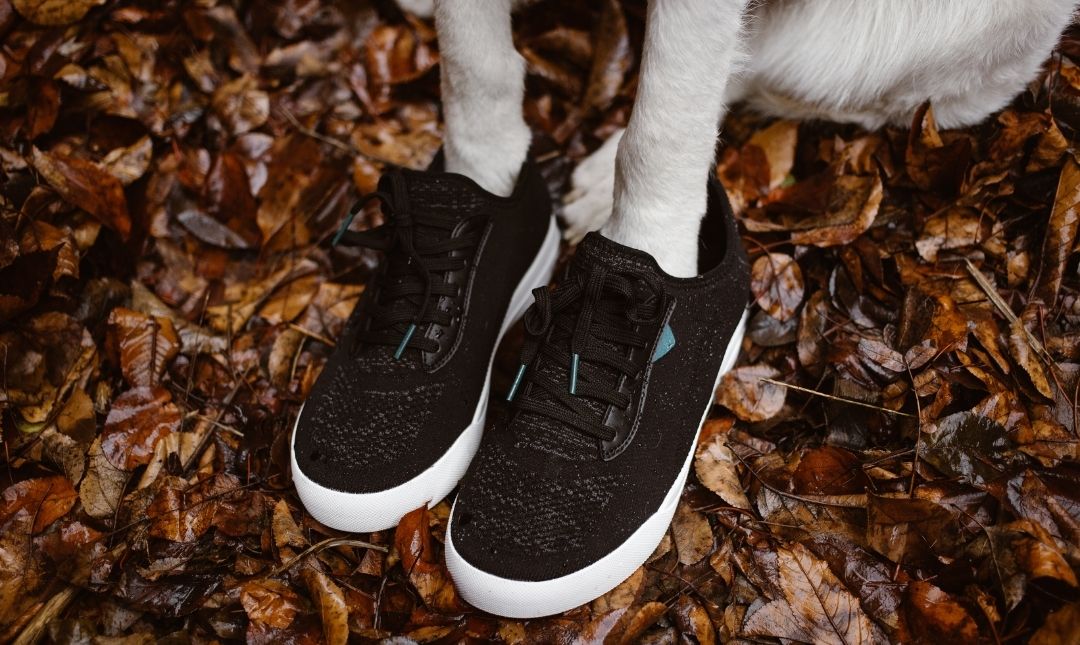 The Best Dog Boots to Buy for All Seasons and Terrain