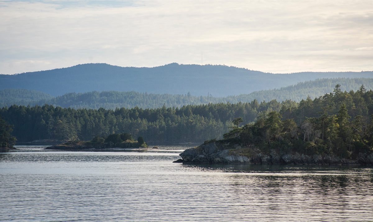 Water First - Clean Water Crisis