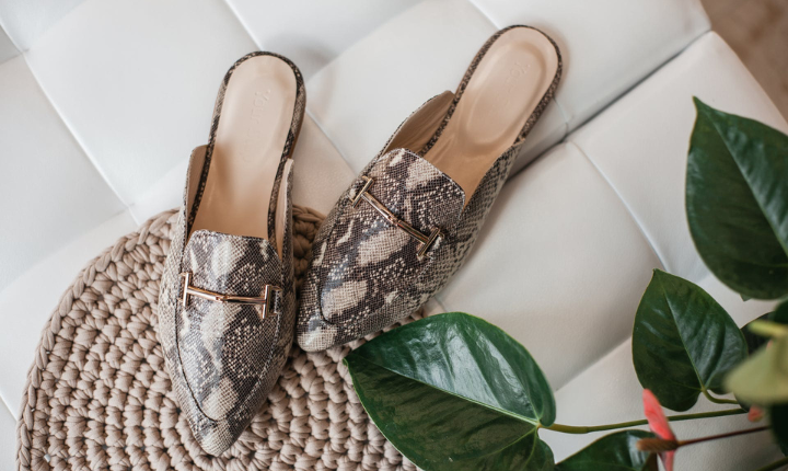 What Are Mule Shoes: A Complete Guide