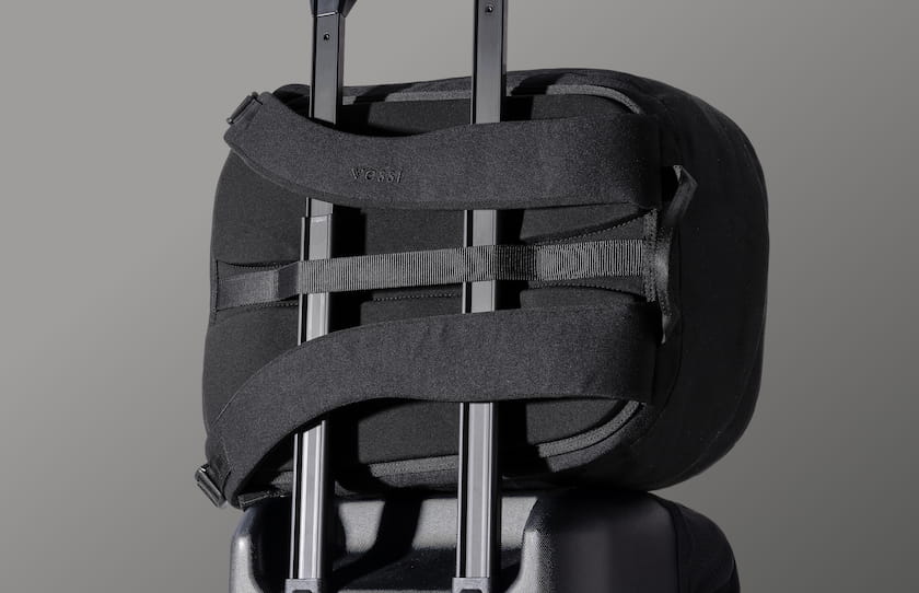 Luggage handle pass