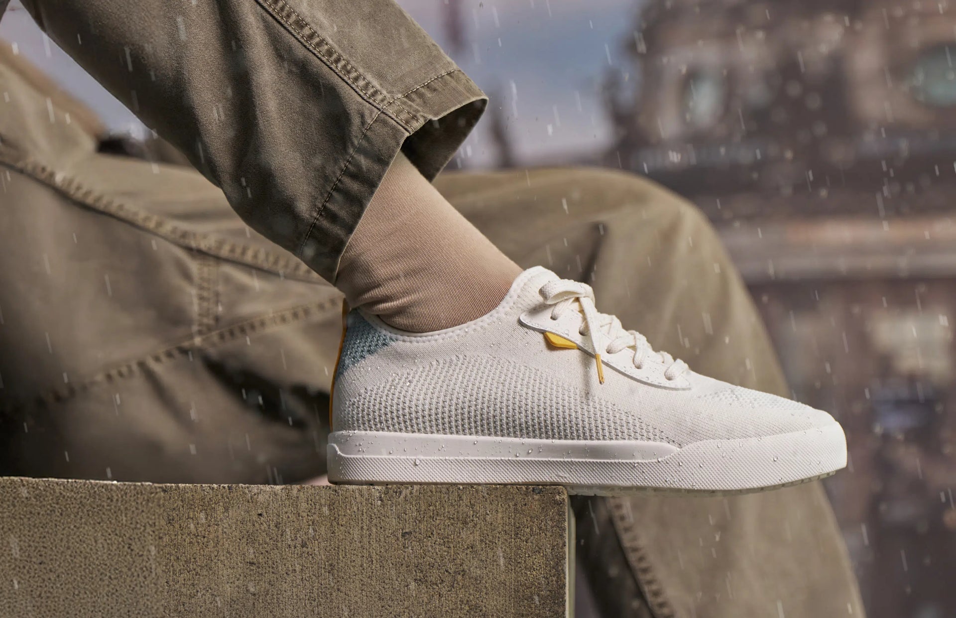 The Famous Cities Collection