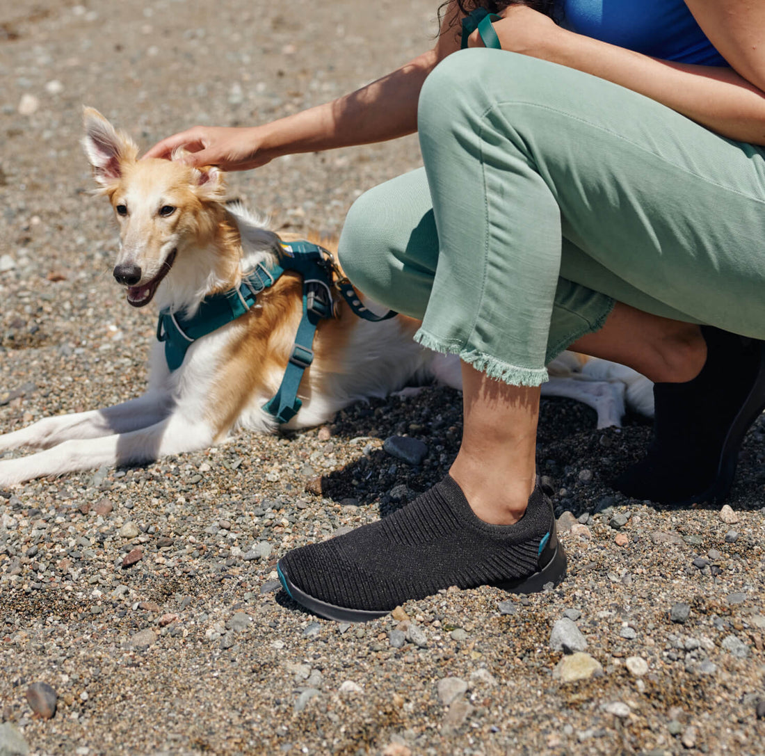 Men's Everyday Move Slipons Sneakers Vessi Footwear Canada 🇨🇦